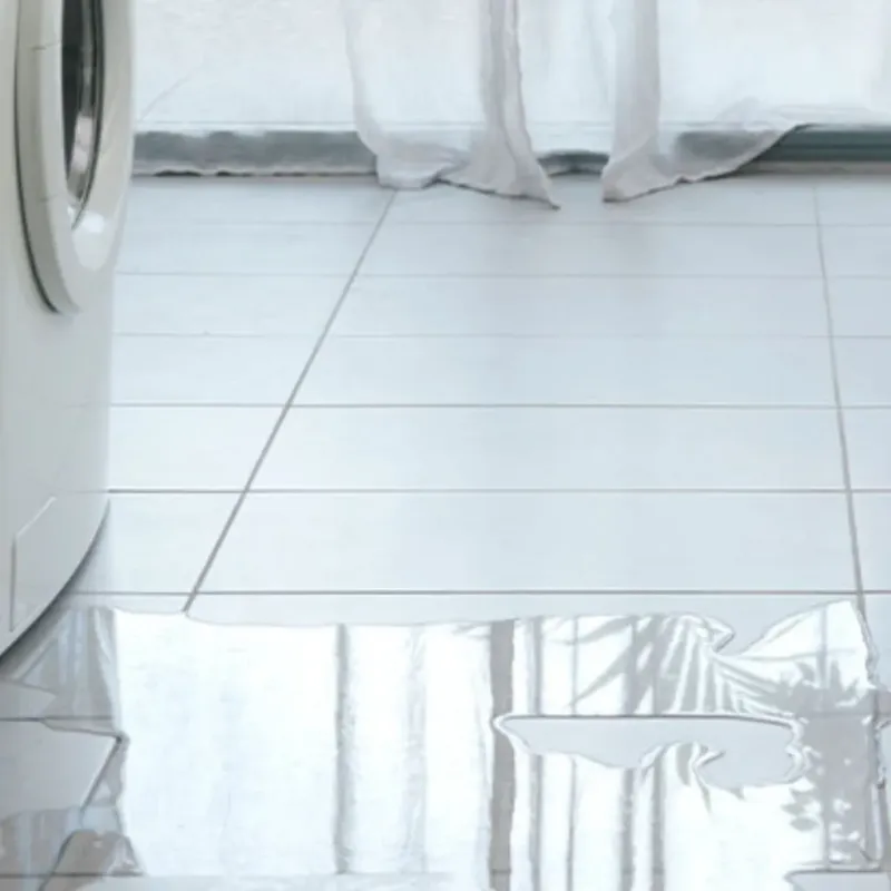 Appliance Leak Cleanup in Angola, IN