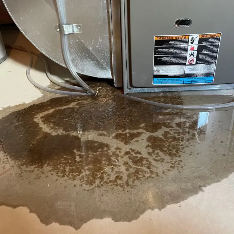 Pipe Burst and Leak Restoration in Angola, IN